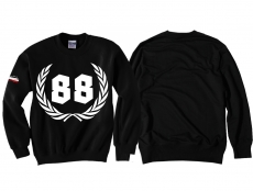 Pullover - 88