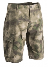 Short - Bermuda ACU R/S - Elite Tarn