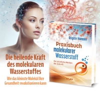 Buch - Praxisbuch molekularer Wasserstoff