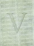 Sampler -Solidarität Vol.5- DVD-BOX